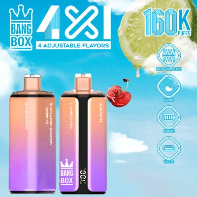 Bang Box 4in1 160000 Puffs Disposable Vape Wholesale suppliers