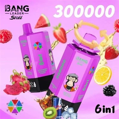 BANG LEADER STOLL 300K 6IN1 Bood 2026 Hot Selling 6-flavor 650mah Mega 30000 Puff 25 K 1k Bc Vape